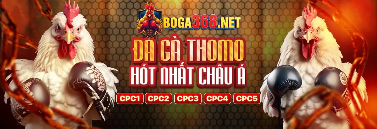 Đá gà trực tuyến kịch tính tại Kubet79