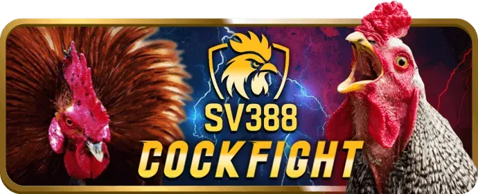 Tầm nhìn tương lai và sự phát triển của Kubet79 đăng nhập